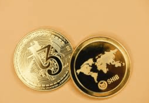 Understanding On-Chain Governance
